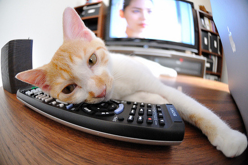 印度队在2024年混合团体世界杯赛场上的辉煌表现，印度足球队世界杯