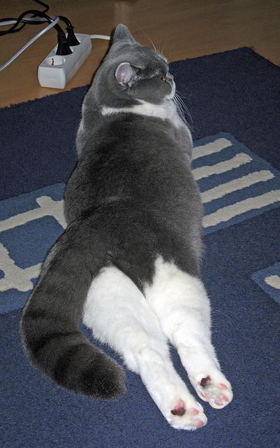 开云体育视频直播-基层足球场地建设滞后制约发展，足球场地建设方案