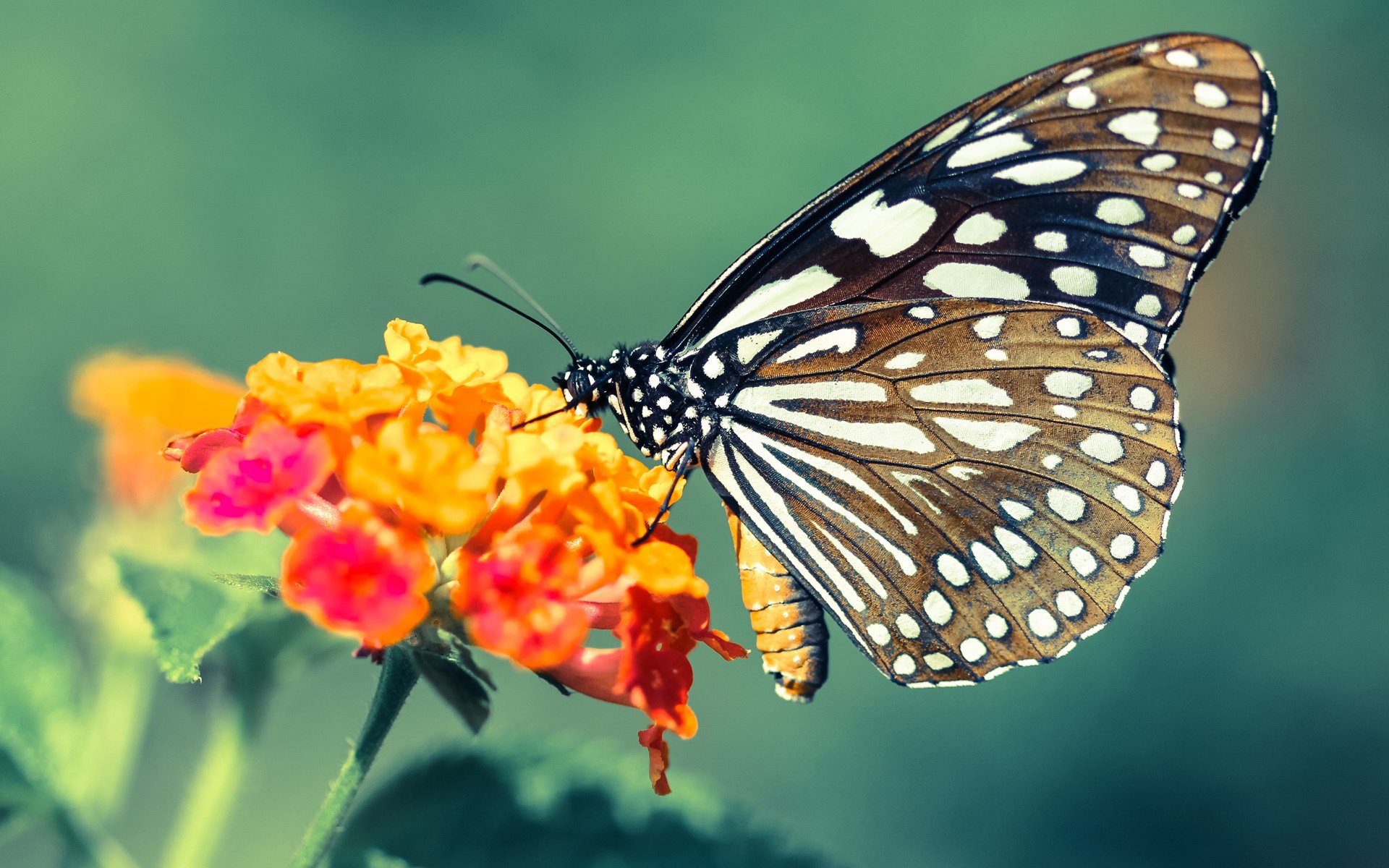 kaiyun官方入口登录-奥预赛中国足球爆冷 球迷反思技术短板，足球爆冷分析