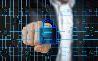 开云网页版登录入口-马术运动进校园课程体系初步建立，马术走进校园合作方案