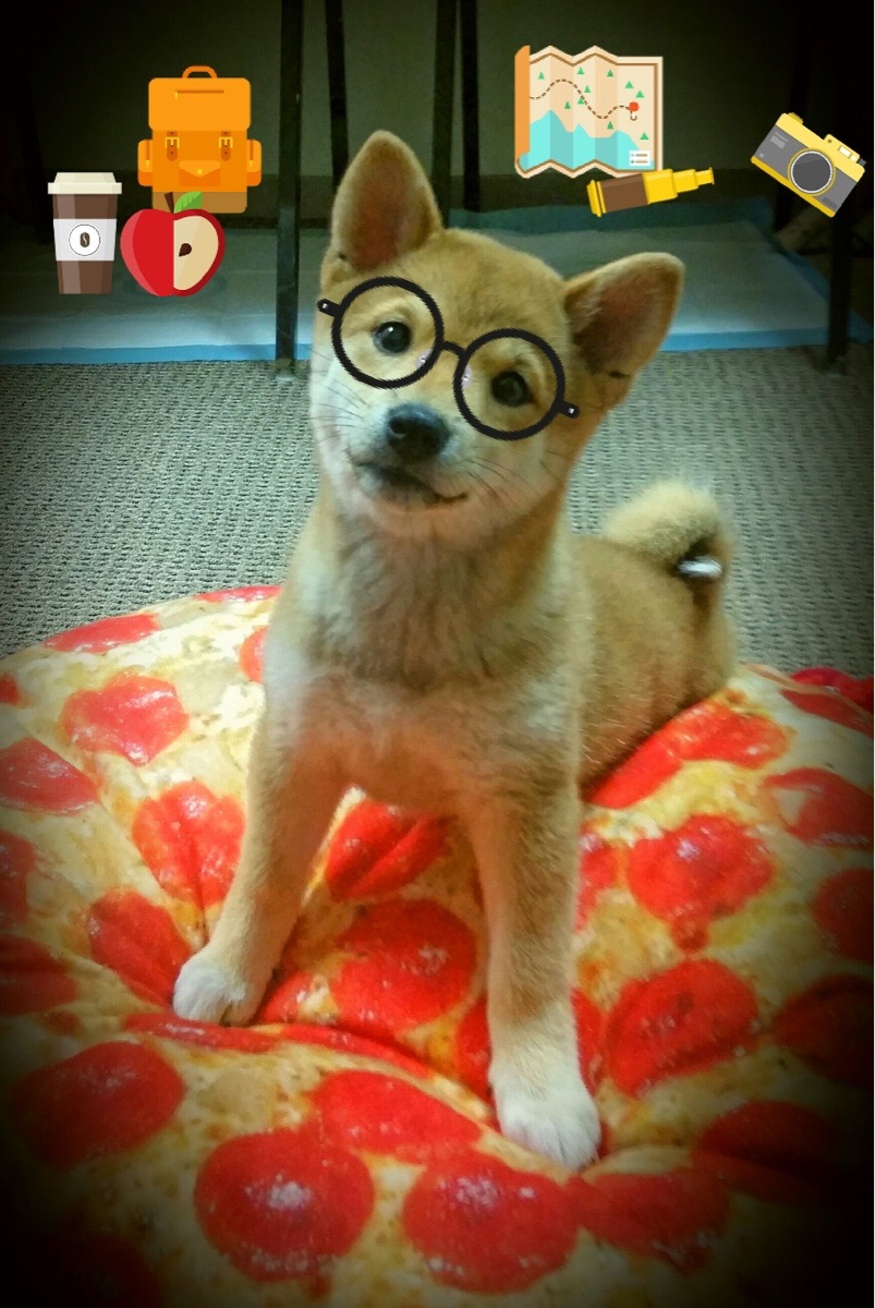 青年球员出场时间增加利于成长也伴随风险，这名球员已经列入青年队名单或球员名单