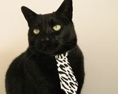 中国羽毛球协会公告运动员伤病康复机制优化方案，羽毛球常见损伤与康复