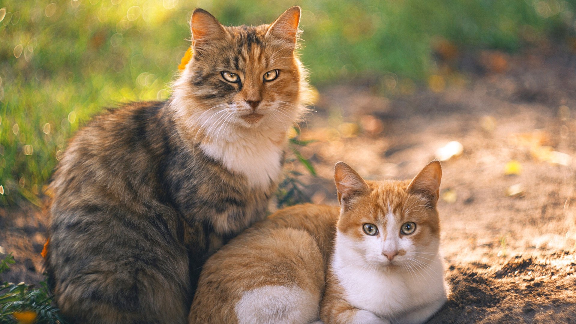 中国组合李亚杰与程子龙表现稳健夺目,李亚杰是谁