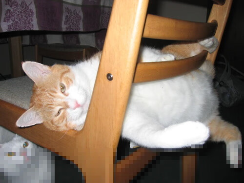 伊丽莎白·德克斯稳扎稳打摘得好成绩，伊丽莎白女王德国