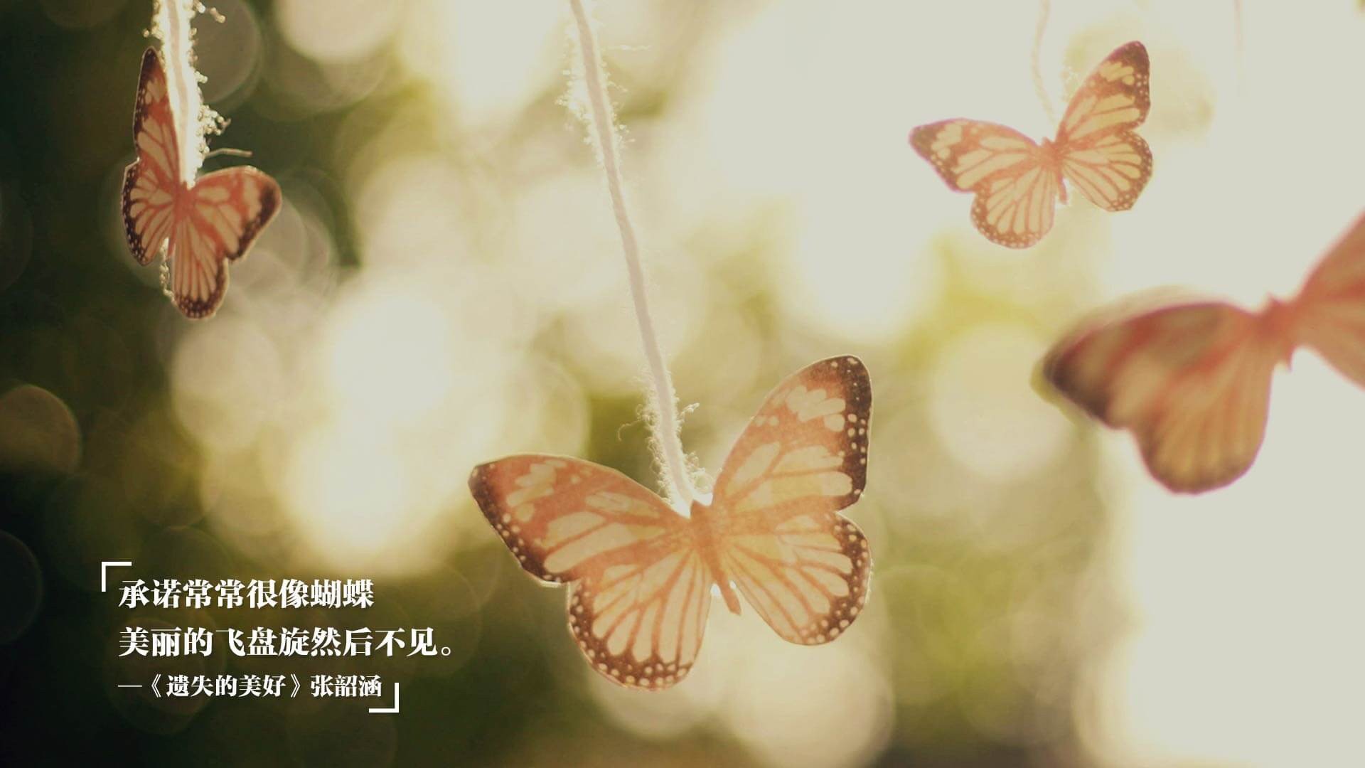 决赛焦点：切拉苏奥洛出水即领游，切洛拉高球队